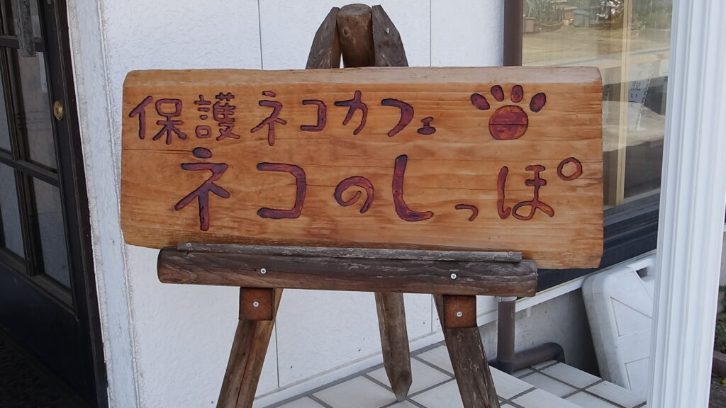 【動画あり】高岡市初！譲渡型保護ネコカフェ『 ネコのしっぽ 』に行ってきた！