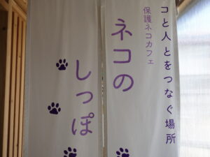 【動画あり】高岡市初！譲渡型保護ネコカフェ『 ネコのしっぽ 』に行ってきた！