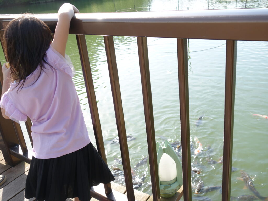 【無料開放！】太閤山ランドこども未来館で体をおもいっきり動かそう！【射水市】